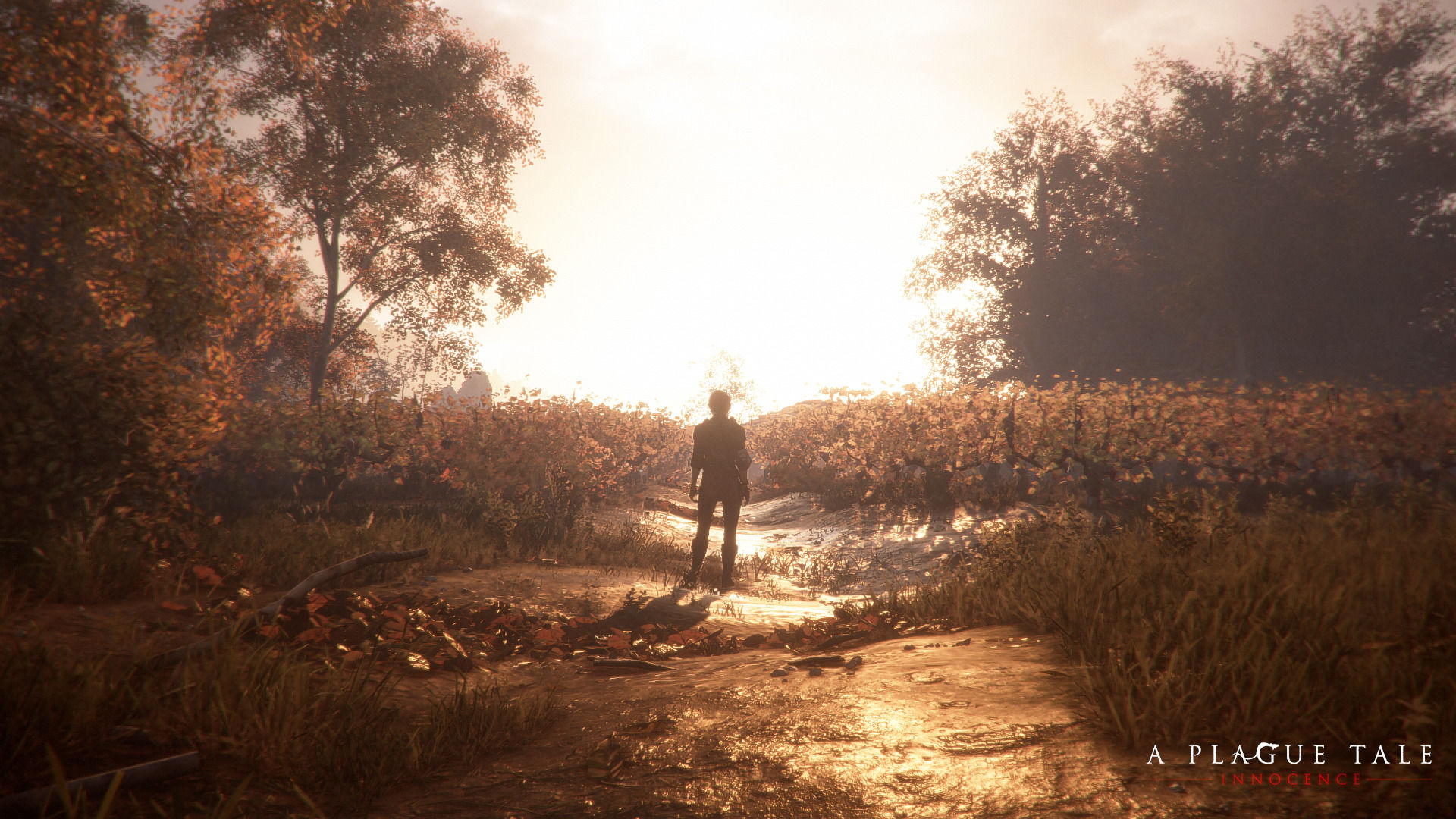 A Plague Tale: Innocence için yeni ekran görüntüleri yayımlandı