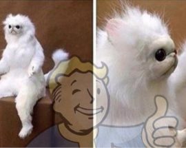 Fallout 76'nın betasını silmek için oyunu satın almanız gerekiyor