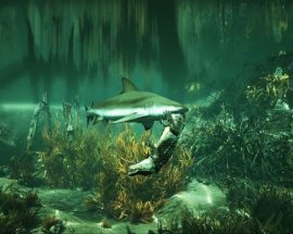 Köpek balığı olduğumuz Maneater, Epic Game Store özel oyunu odu