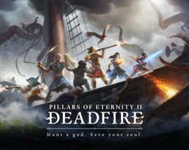 Pillars of Eternity II: Deadfire'dan yeni bir video geldi