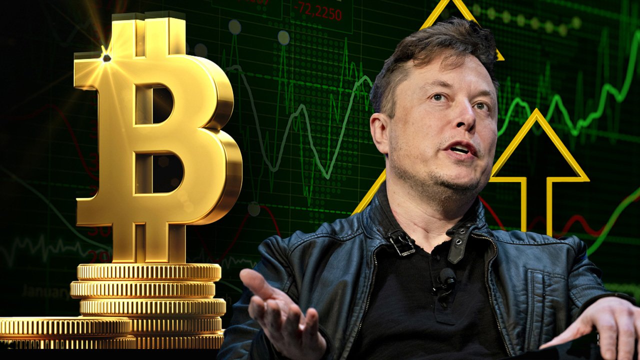 elon musk bitcoin