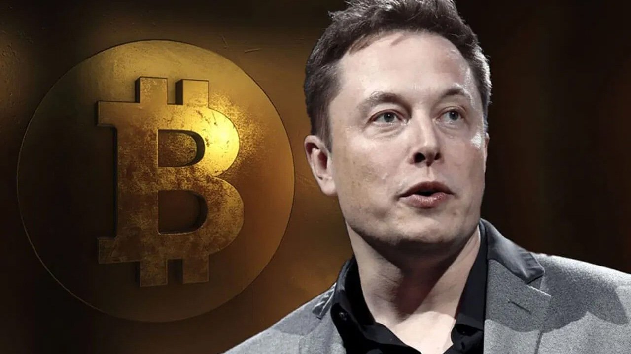 elon musk bitcoin