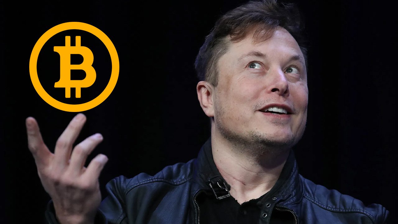 elon musk bitcoin