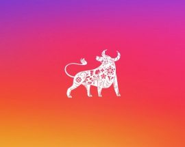 Instagram Hikayelerde Görülen Öküz Yılı Nedir ve Nasıl Kullanılır?