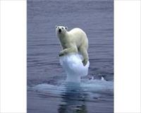 Küresel Isınma Palavra