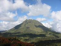 Yeni bir fare cinsi keşfedildi