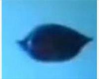 Çin UFO tuttu