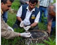 Gladyatör böcekler kenelere karşı