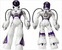 Konya ovasında insansı robot üretilecek