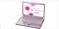 Toshiba NB100 minik ama ucuz değil