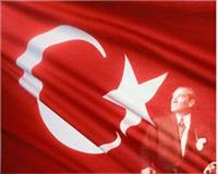 Türk diline dünya alakası