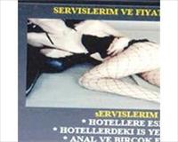 Web Sitesiyle Fuhuş