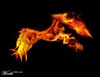 Yahoo Fire Eagle