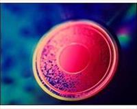 500GB bilgi depolayan optik disk