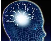 Beyin eforunuzu çoğaldırmak sizin elinizde