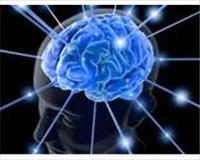 Beynin Parolaları Çözülüyor