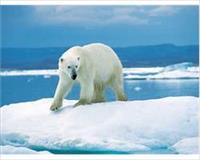 Bilim adamları küresel ısınmanın nedenini buldu