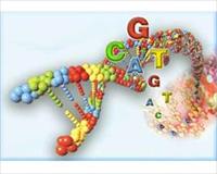 Bilim insanları sahte Deoksirübo Nükleik Asit üretmeyi muvaffak oldu