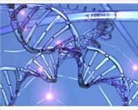 Fareler görüşebilecek mi