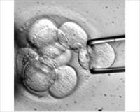 İnsan ömrünü uzatacak buluş