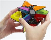 Zekâ küpüne kardeş geldi