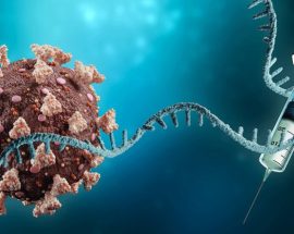 Tüm Koronavirüs Varyantlarına Karşı Tesirli İlk Aşı Üretildi