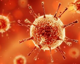 COVID-19'un Orijinine Dair Yeni İddia: Virüs, Çinli Bir Madencinin Bedeninde Evrim Geçirmiş Olabilir