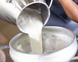 Süt, Yoğurt ve Peynire Dev Zam Kapıda: Ham Sütün Litre Maliyetine %47 Zam Geldi