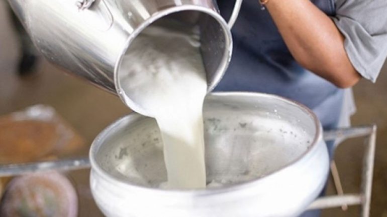 Süt, Yoğurt ve Peynire Dev Zam Kapıda: Ham Sütün Litre Maliyetine %47 Zam Geldi