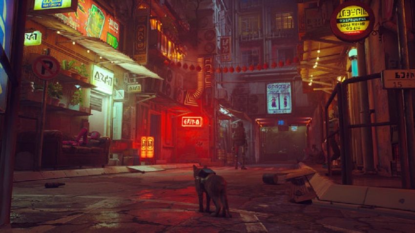 Stray inceleme