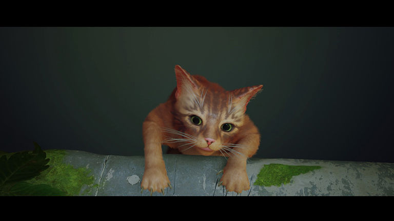 Stray oyuncu sayısı rekor kırdı