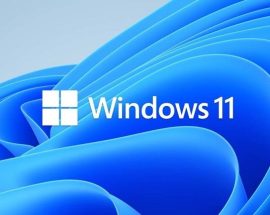Windows 11 Steam kullanıcıları arasında pek popüler olamamış