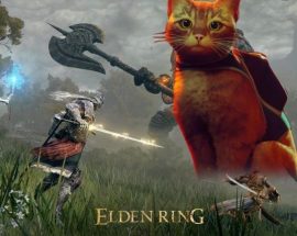 Stray, God of War'dan sonra Elden Ring'i de geçti